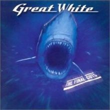 Создать мем: акула, акула мегалодон вид сверху, great white shark