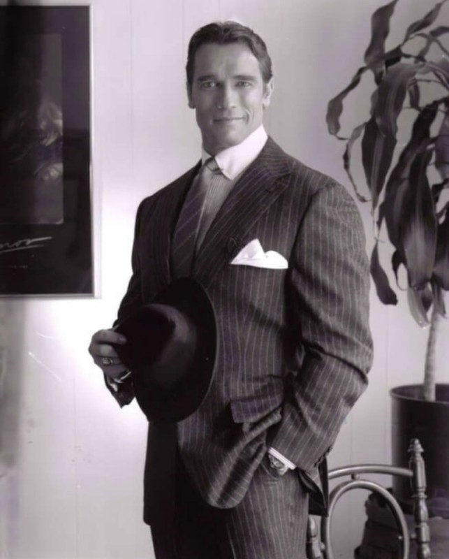 Create meme: the young Schwarzenegger, Arnold Schwarzenegger in a suit, Patrick Schwarzenegger