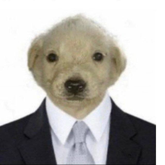 Create meme: dog wearing a suit, a man with a dog, dog 