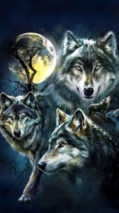 Создать мем: животные волки, волк волчонок, волк