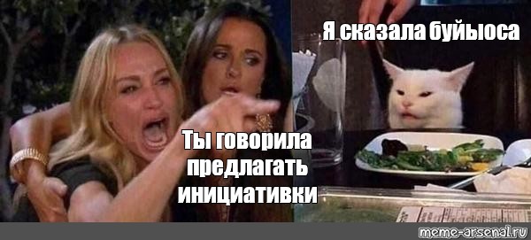 Говоришь предлагай. Мемы про кота и двух женщин. Мем две женщины орут на кота. Мем женщина орет на кота. Мемы про женщин.