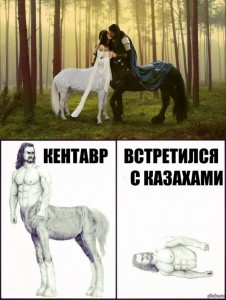 Create meme: horse