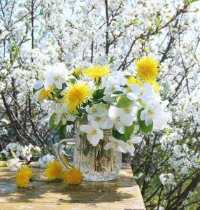 Create meme: Sunny spring, flowers