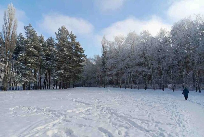 Создать мем: зима в парке, зима парк, зима в лесу