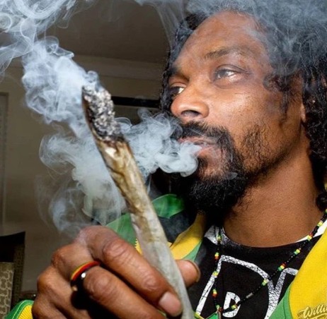 Create meme: Snoop Dogg with pot, snoop dogg smoke , Snoop Dogg smokes