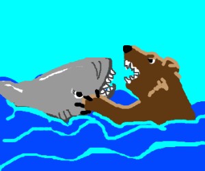 Create meme: shark bear, who is stronger, a shark or a bear, bear vs shark