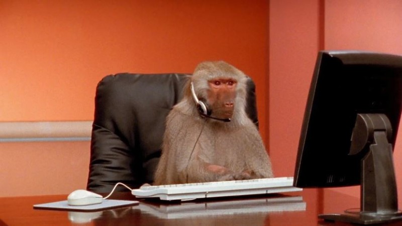 Create meme: computer ape, the monkey behind the computer, monkey in front of the computer