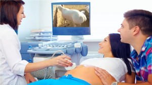 Create meme: ultrasound in pregnancy, ultrasound pregnant