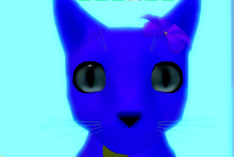 Create meme: cat , warrior cats purple cat, cat 