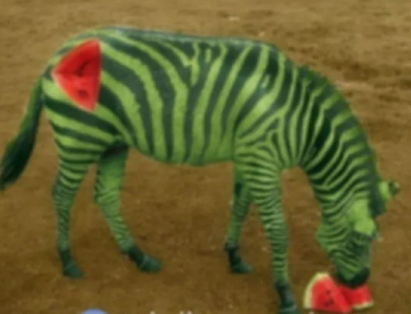 Create meme: Zebra , animals Zebra, invented animals