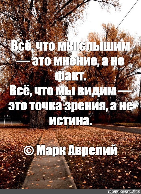 Факт видеть. Все что мы слышим это мнение. Все что мы слышим это мнение а не факт. Марк Аврелий все что мы слышим это мнение а не факт. Это всего лишь мнение.