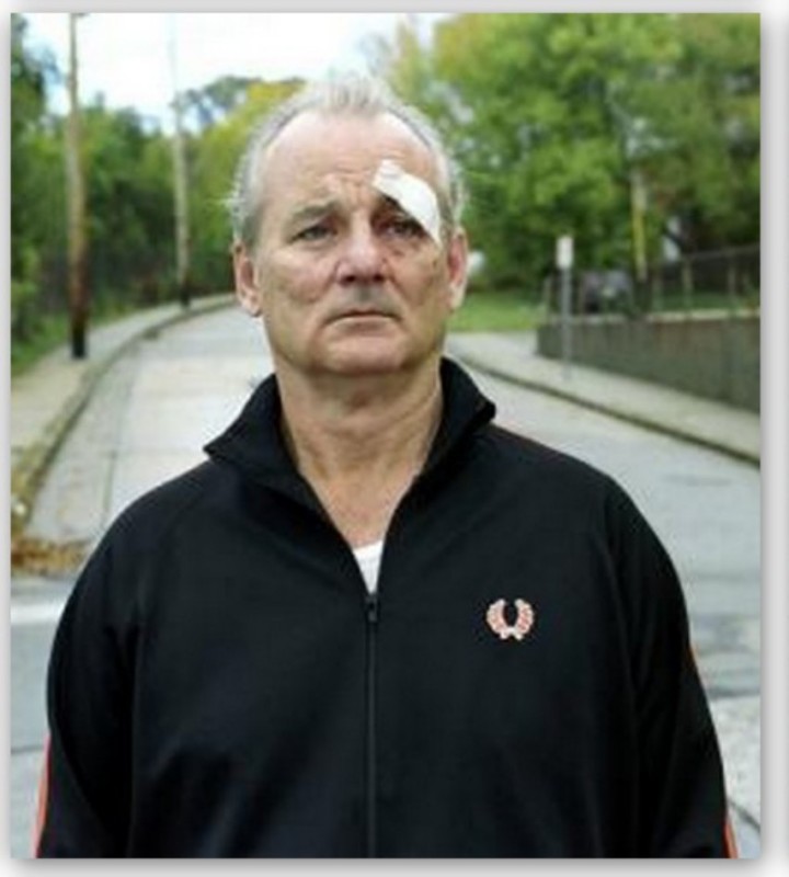 Create meme: Bill Murray Broken Flowers, Broken Flowers 2005 film, bill murry