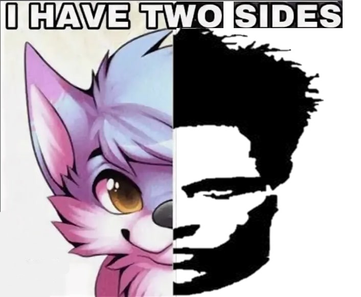 Создать мем: аниме, furry, i have two sides sensitive femboy fox