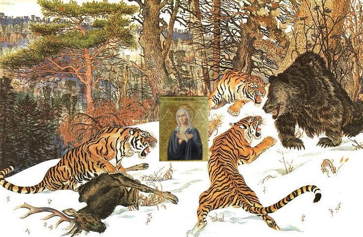 Create meme: The golden rigma, Gennady Pavlishin illustrations golden rigma, tiger vs bear