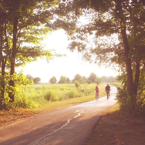 Create meme: bicycle in the forest, the nature of the road, the beauty of nature