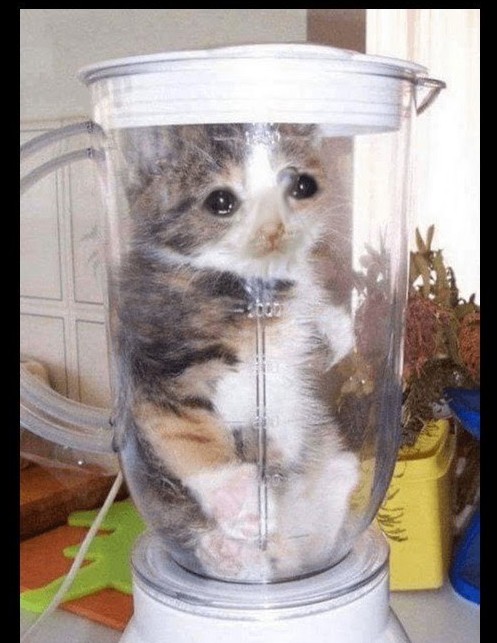 Create meme: a cat in a blender, a cat in a blender, a cat in a tin blender