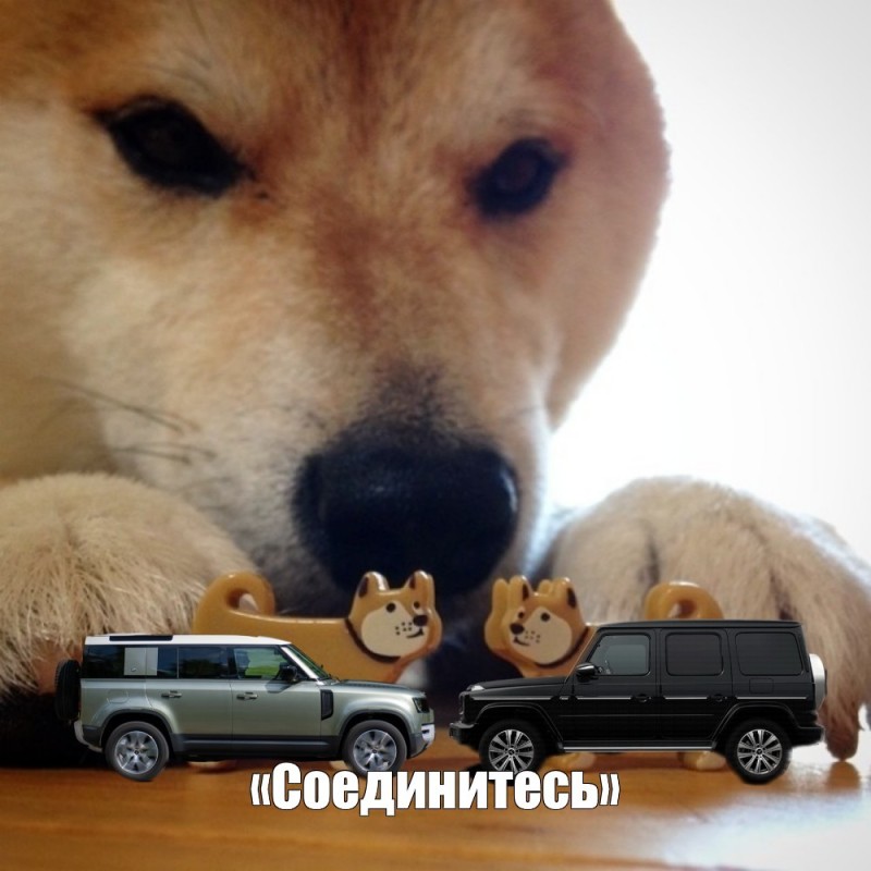 Create meme: Shiba inu bites, meme dog bites, dog bites