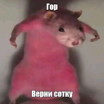 Создать мем: null