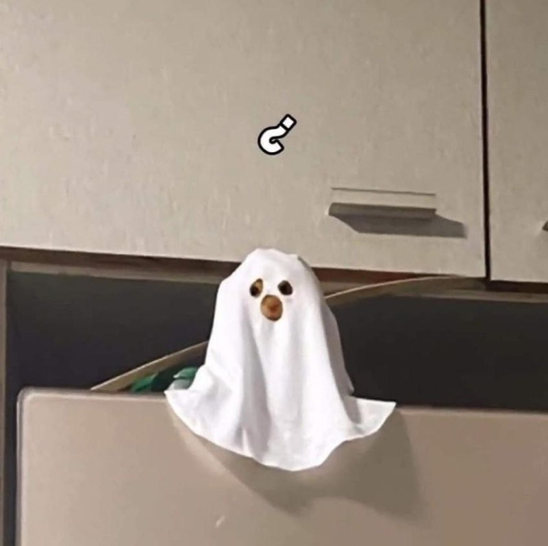 Create meme: The ghost costume, ghost costume, Halloween 