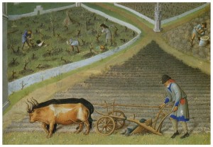 Create meme: agriculture in the middle ages brief, treatment of land by peasants in medieval, the labor of the peasants