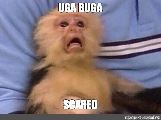 Uga buga : r/memes