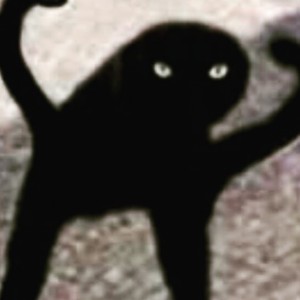 Create meme: meme the black cat with hands, suffering cat, black cat joy