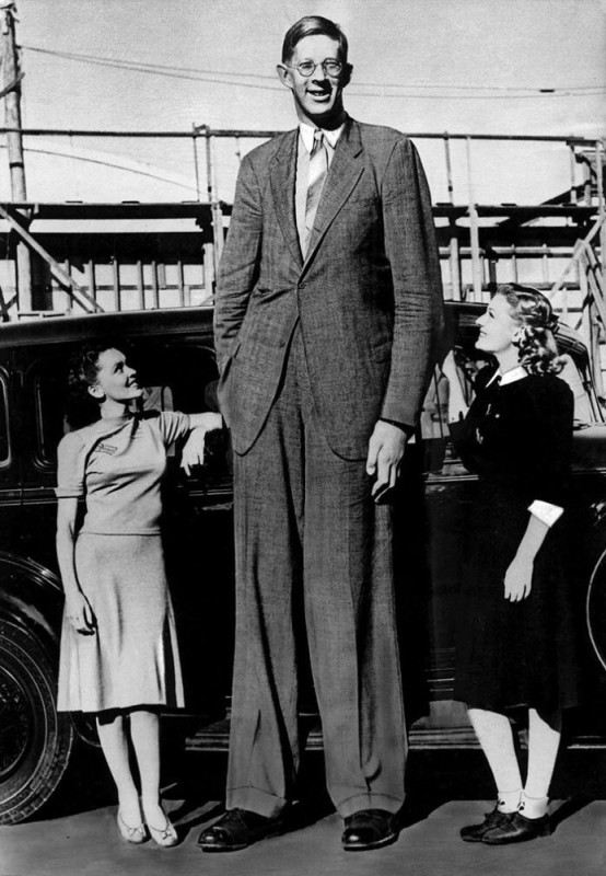 Create meme: robert wadlow, stationmaster, the tallest man 