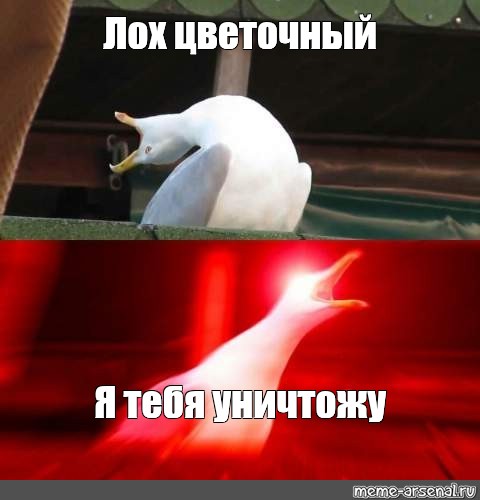 Я вас уничтожу мем. Я тебя уничтожу. Я тебя уничтожу Мем. Глубокий вздох. Чайка Мем.