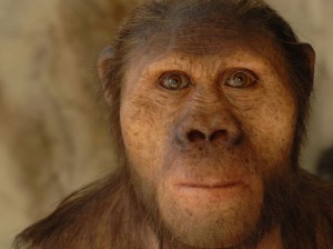 Create meme: Australopithecus Africanus!, the face of prehistoric man, Australopithecus