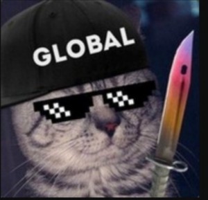 Create meme: cat, cat with mlg points, cool cats