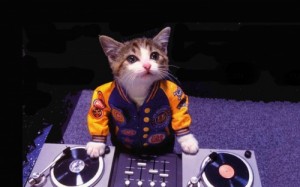 Создать мем: mix, диджей, dj cat