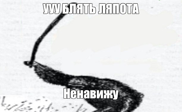 Создать мем: null