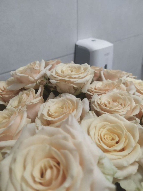 Create meme: roses are a big bouquet, roses , cream-colored roses