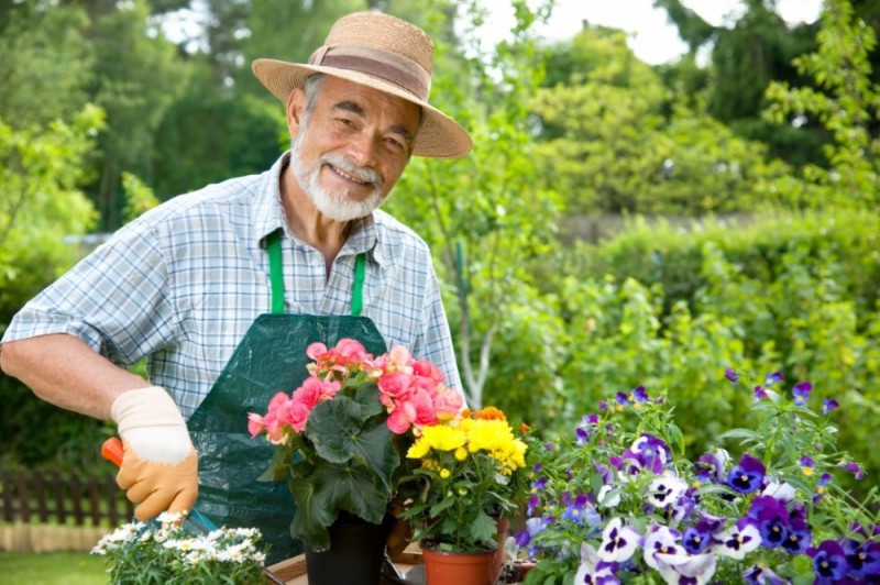 Create meme: the gardener, the old gardener, profession gardener