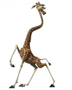 Create meme: giraffe from Madagascar, animal, Madagascar 3