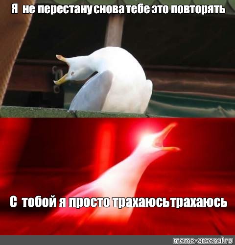 Создать мем: null