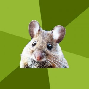 Create meme: rat fever, mouse, mouse