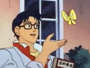 Create meme: meme with butterfly anime, the guy with the butterfly meme, this bird meme