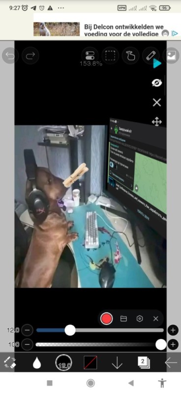 Create meme: funny animals , dog , screenshot 