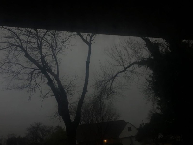 Create meme: a tree in the fog, dark wood, dark photos