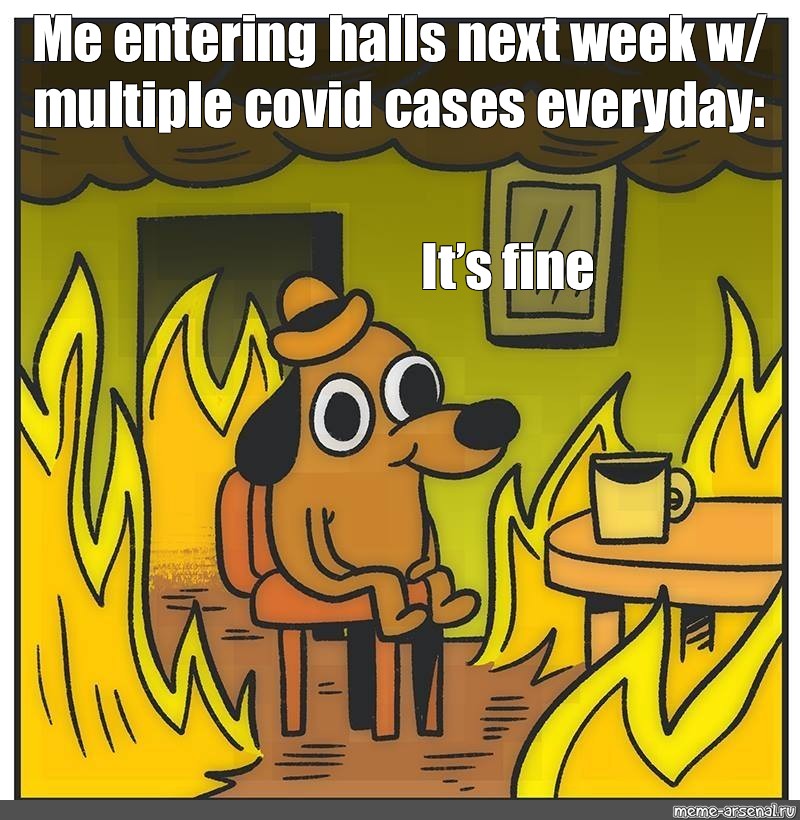 This is fine картинка