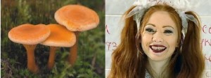 Создать мем: ложная лисичка, грибы съедобные, милена лисичка