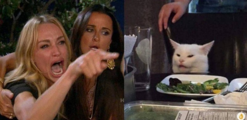 Create meme: meme woman yelling at the cat, a meme with a cat and girls at the table, the cat table meme