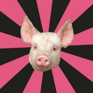 Создать мем: a pig, piglet, поросенок