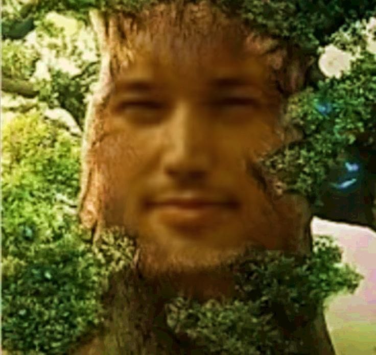 Create meme: Yegor Letov , tree , male 