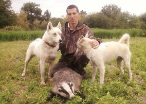 Create meme: the white Swiss shepherd dog, dog, the West Siberian Laika