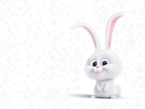 Create meme: the secret life of Pets rabbit