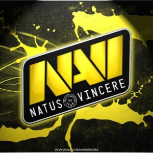 Create meme: navi logo, Navi official logo for the store, team navi