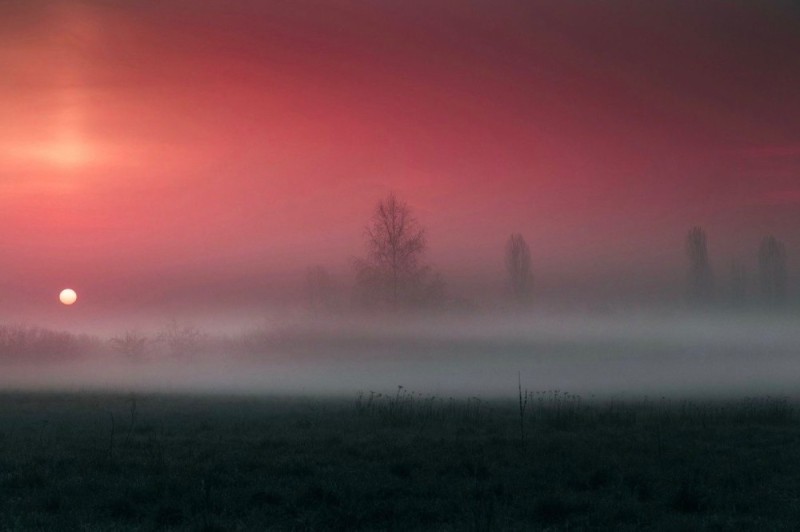 Create meme: dawn mist, The red sun in the fog, landscape 