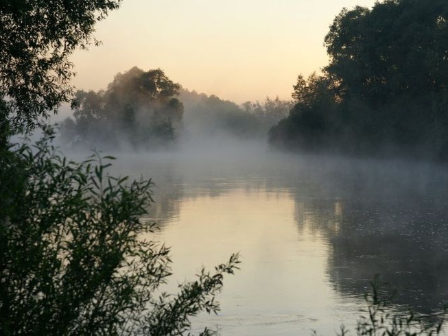 Create meme: the fog turned white over the Sologub river, Fyodor Sologub the fog turned white, Fyodor Sologub the fog turned white across the river